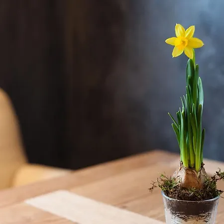 Maison D'hotes De Coeur Et D'exception - Du Cote De Chez Anne Страсбург