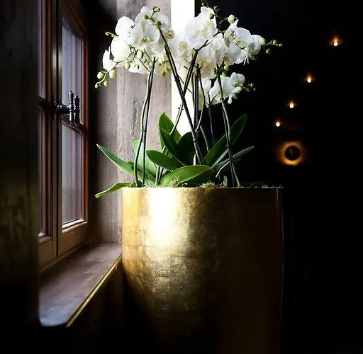 Maison D'hotes De Coeur Et D'exception - Du Cote De Chez Anne 斯特拉斯堡