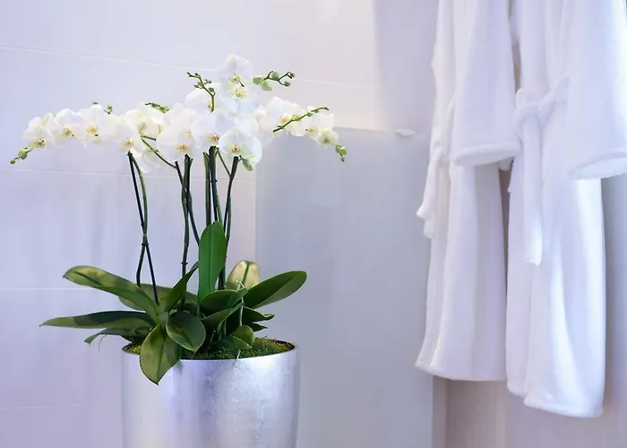 Maison D'hotes De Coeur Et D'exception - Du Cote De Chez Anne Gasthuis *