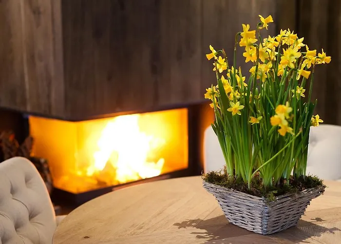 Gasthuis Maison D'hotes De Coeur Et D'exception - Du Cote De Chez Anne *