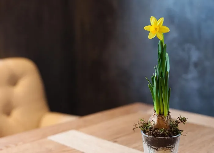 Maison D'hotes De Coeur Et D'exception - Du Cote De Chez Anne Straatsburg